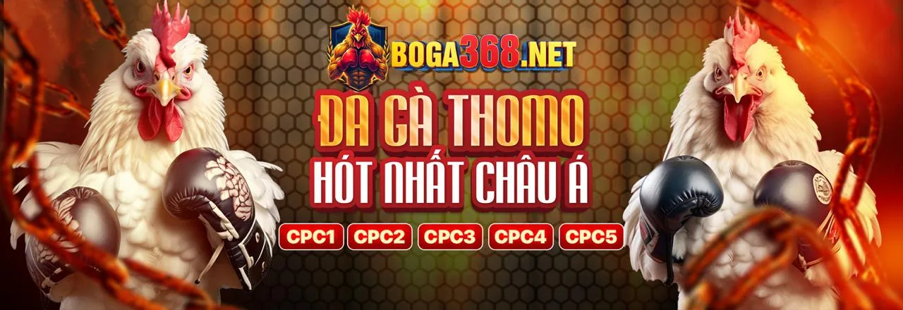 Bắn Cá WSTAR777